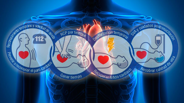 Curso Soporte Vital Básico